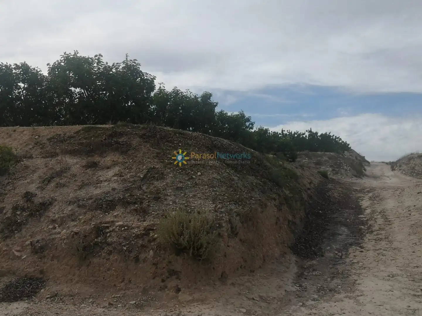 Rural land for sale in Benigànim, imagen 10