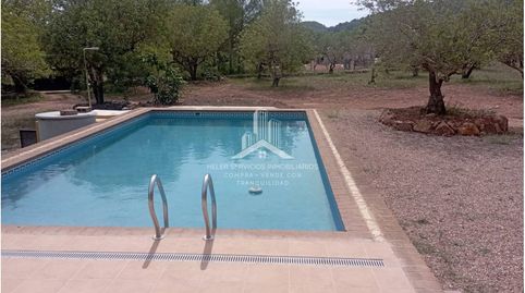 Finca rústica con casa y piscina en plena naturaleza, immagine 3