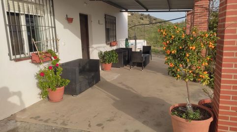 Foto 4 de Finca rústica en venda a Camino Viejo de Málaga, Vélez-Málaga