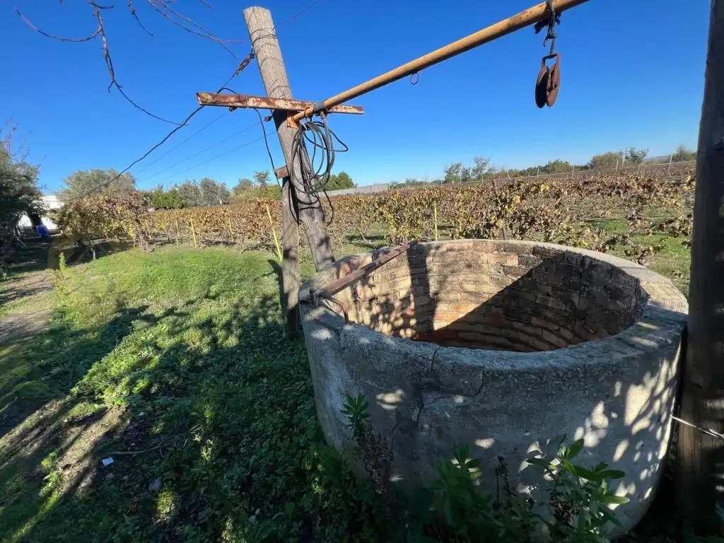 Finca rústica en venta en Jerez de la Frontera