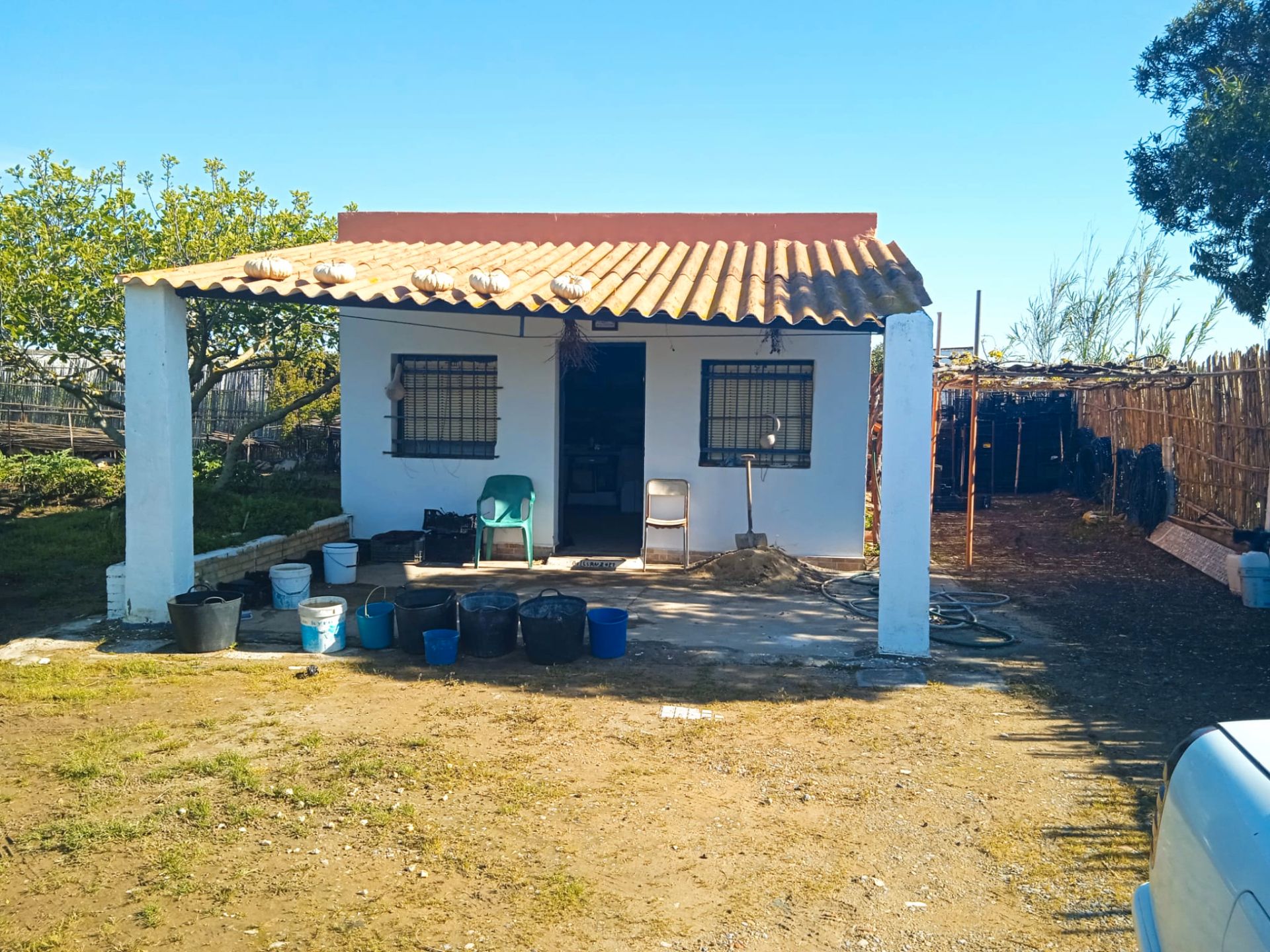 Vista exterior de Finca rústica en venda en Chipiona