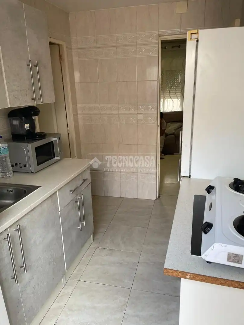 Detached homes for sale in Roquetas Pueblo
