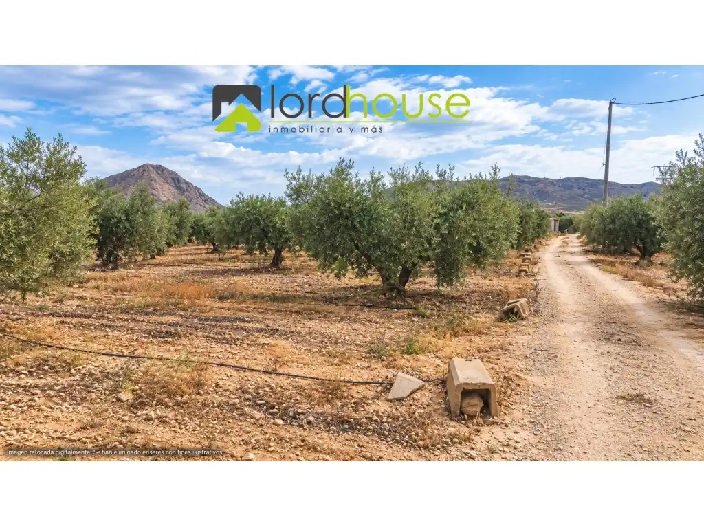 Casa o xalet en venda en Lorca