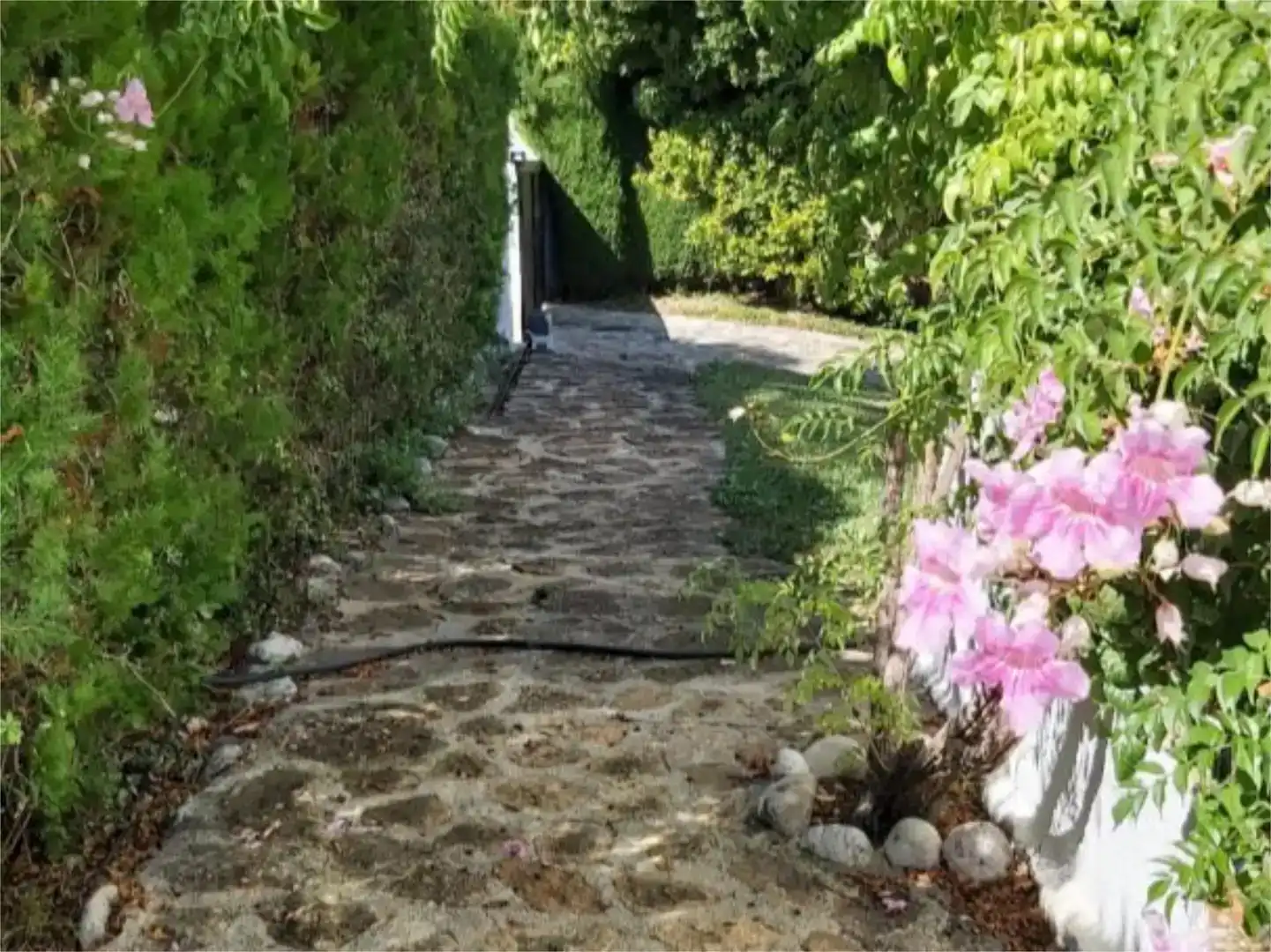 Vista exterior de Casa o xalet en venda en Partida Tosal - Zona dels Castellans