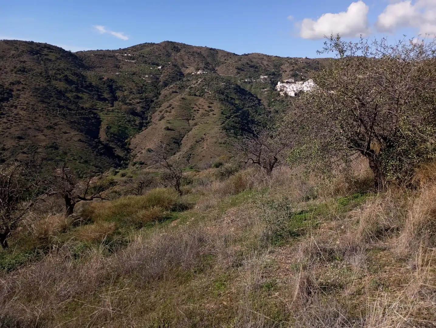 Exterior view of Land for sale in Málaga