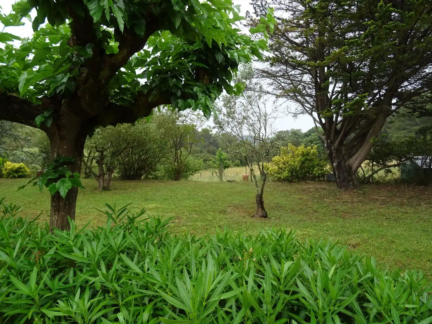 Maison avec jardin à vendre à Residencial Begur - Esclanyà, imagen 9