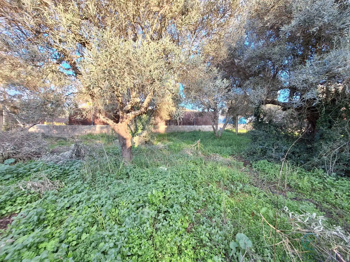 Casa rústica con piscina en venta en Arco Norte - Avda España, imagen 29