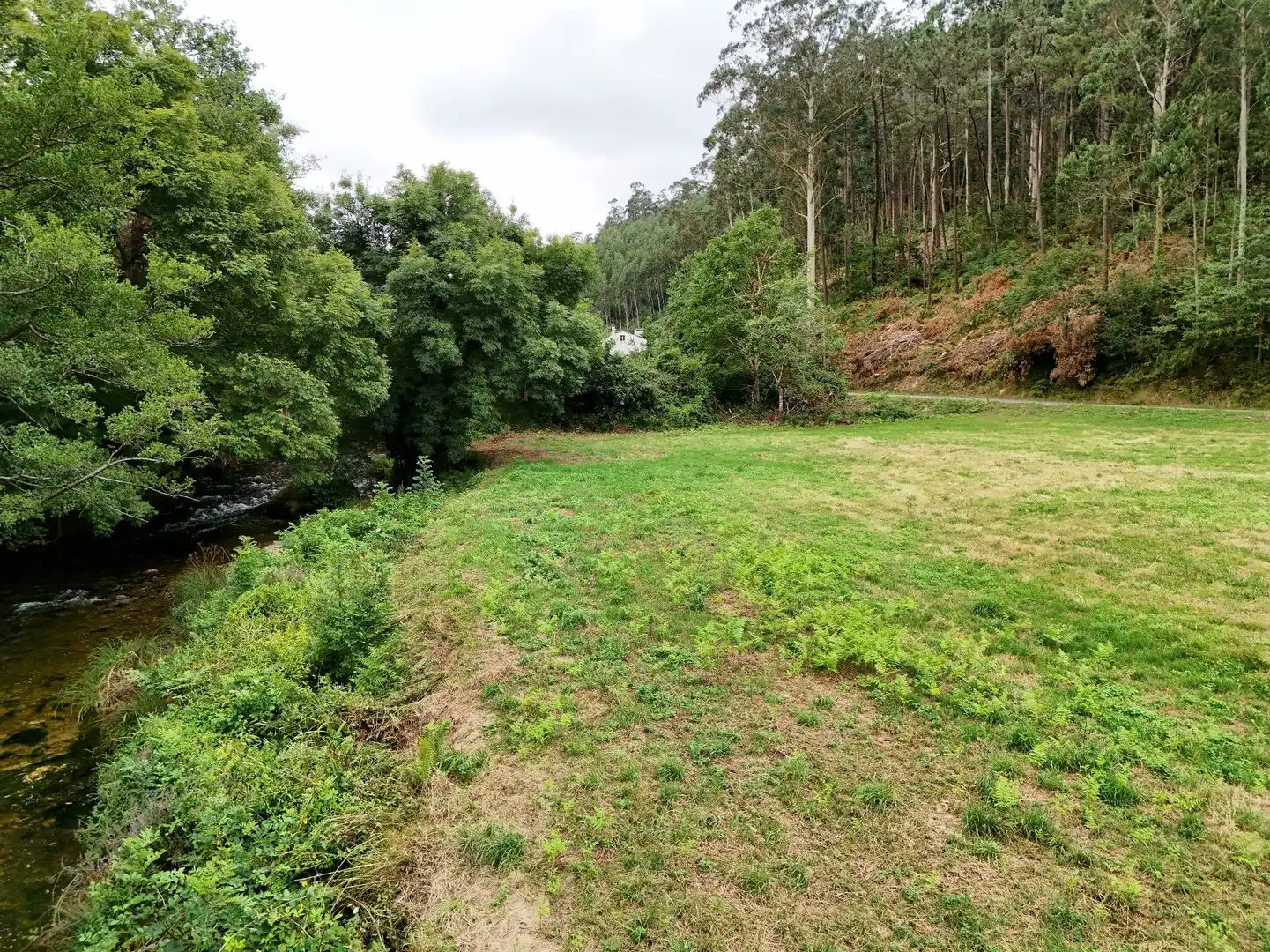Land for sale in Mondoñedo