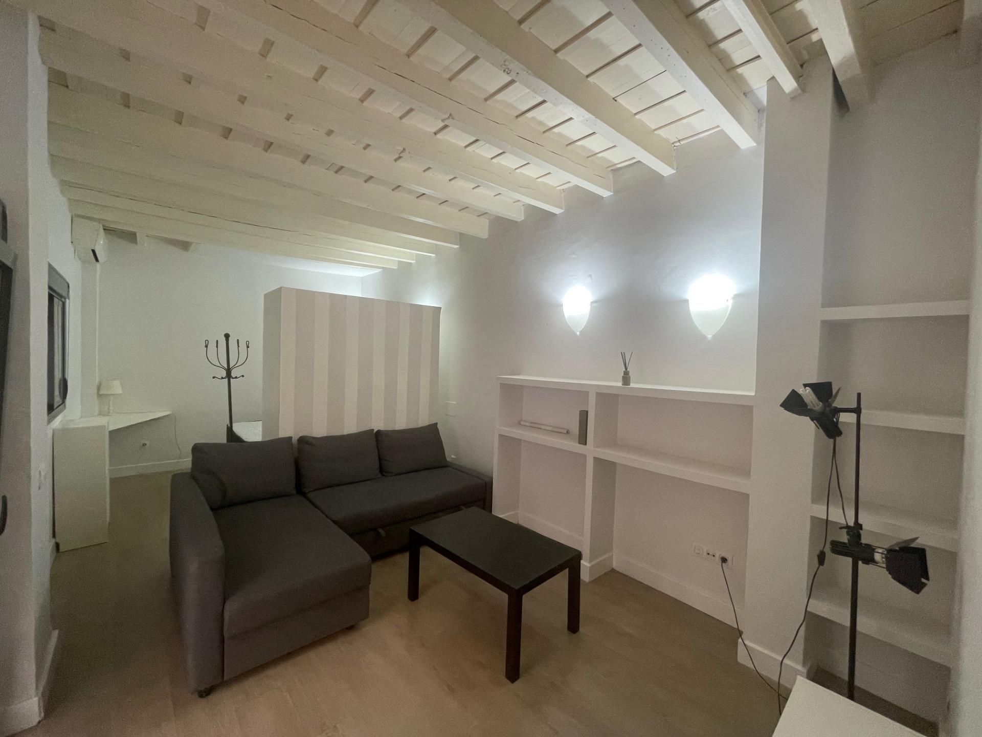 Living room of Loft for sale in  Sevilla Capital  with Air Conditioner and Furnished