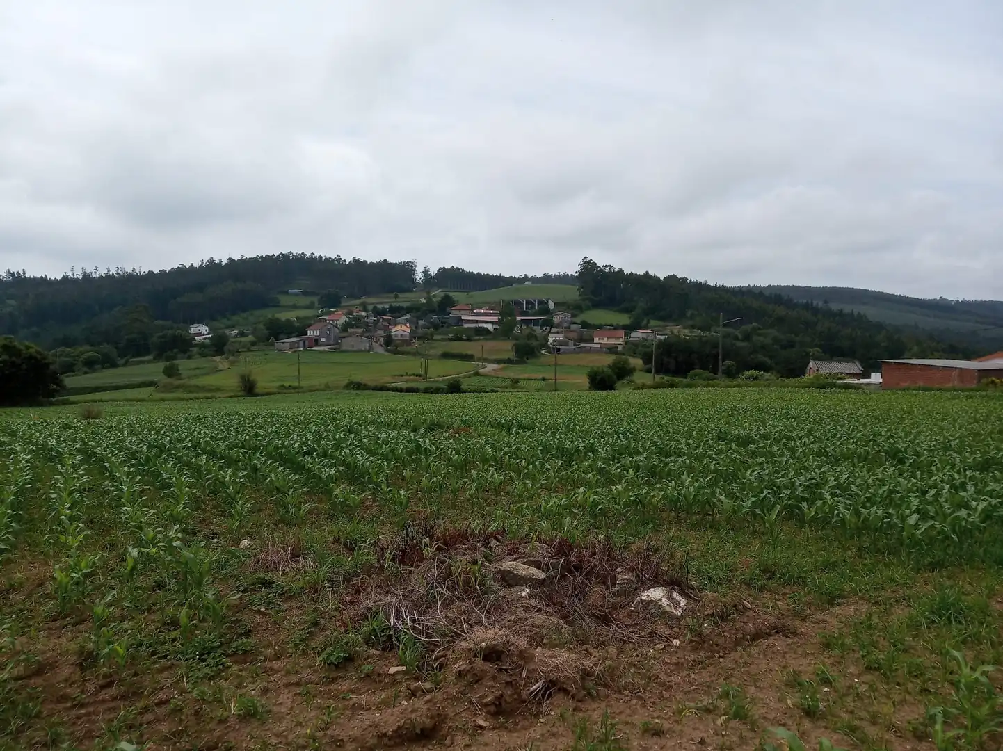 Wohnbaugrundstück zum Verkauf in Carballo, imagen 3