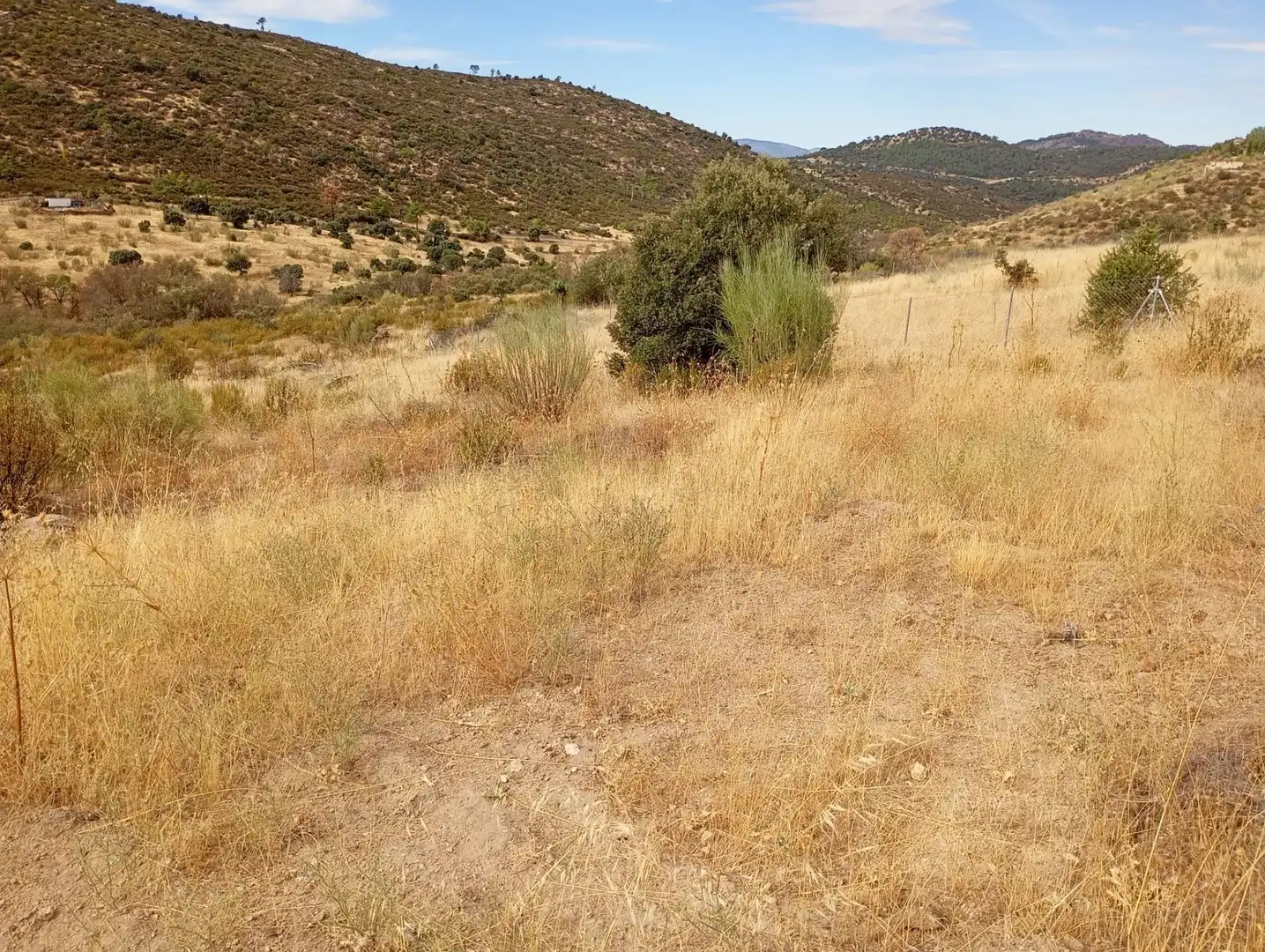 Terrenos y solares en venta en Robledo de Chavela, imagen 8
