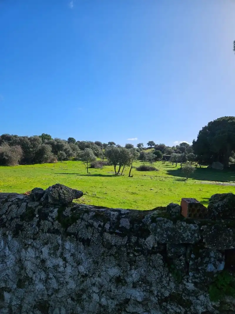 Terreni e lotti in vendita a Aldea del Cano, imagen 66