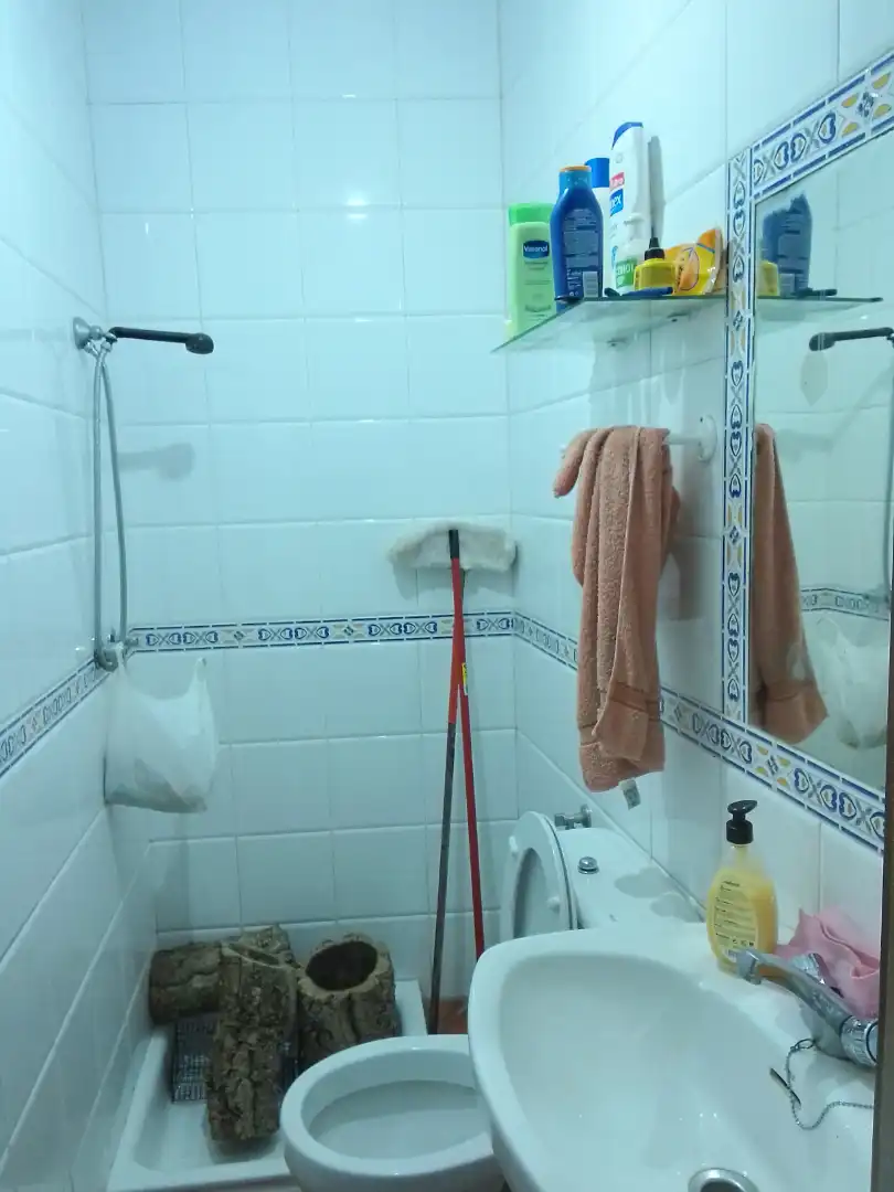 Bathroom of Country homes for sale in Villaluenga del Rosario  with Private garden, Terrace and Furnished