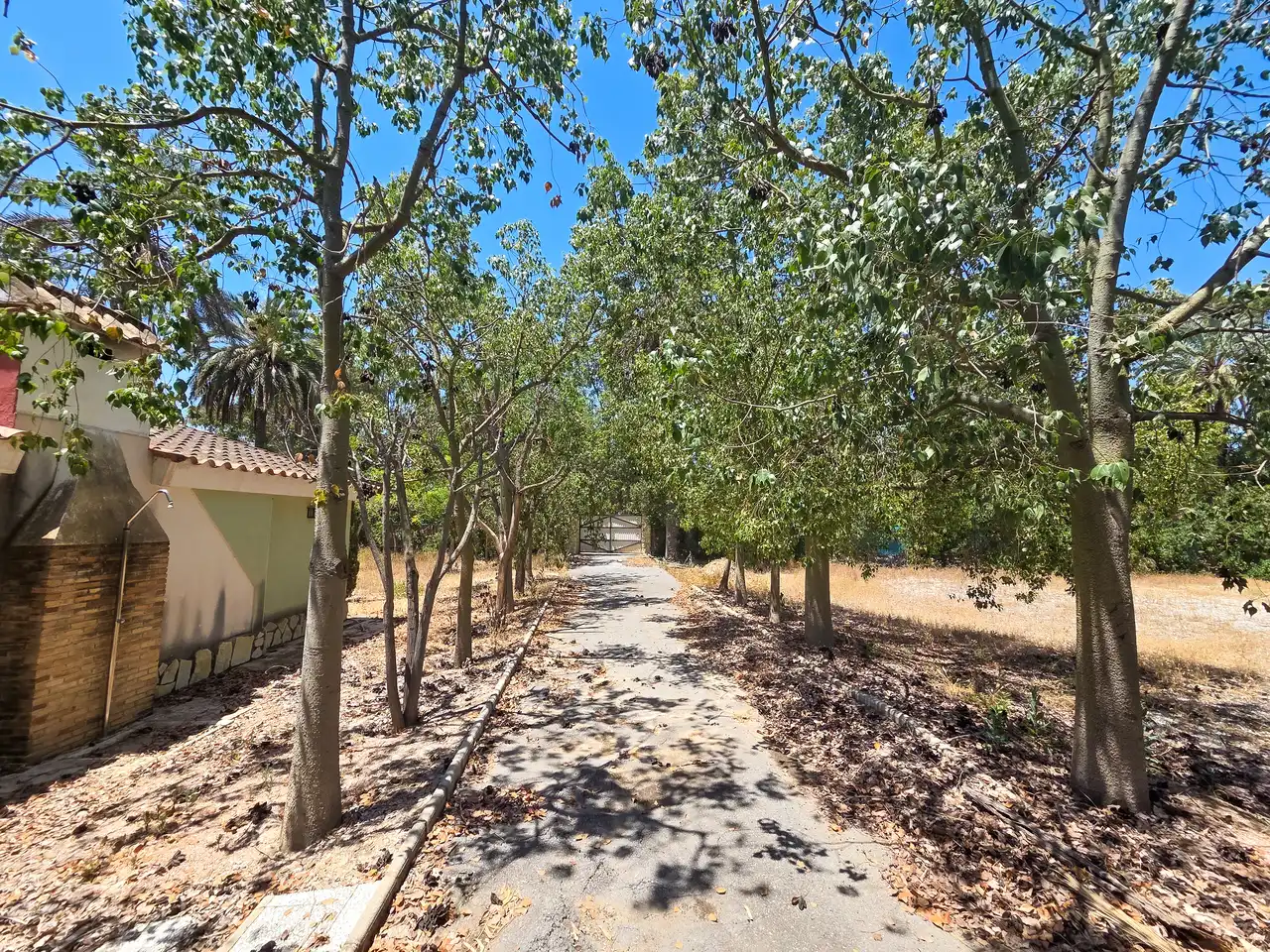 Vista exterior de Casa o xalet en venda en Elche / Elx amb Jardí privat, Terrassa i Piscina