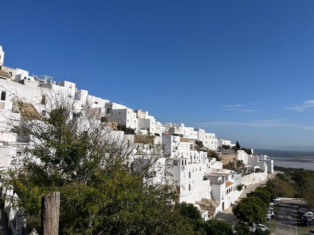 Vista exterior de Casa o xalet en venda en Vejer de la Frontera amb Traster i Moblat