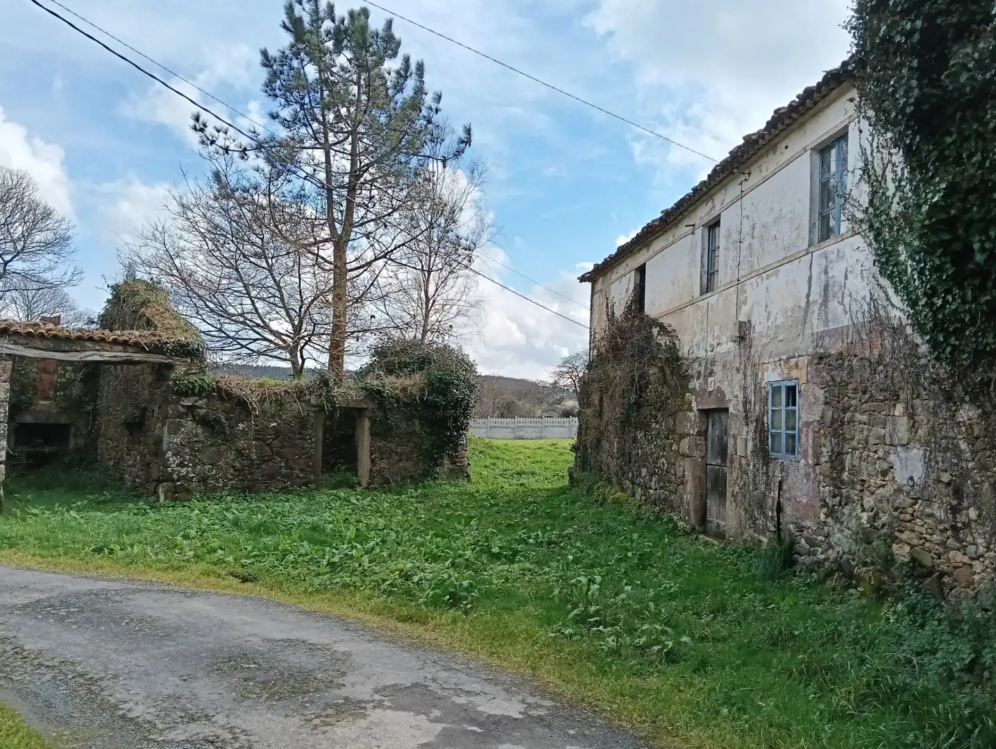 Adossat amb jardí en venda a Avenida Principal, imagen 6