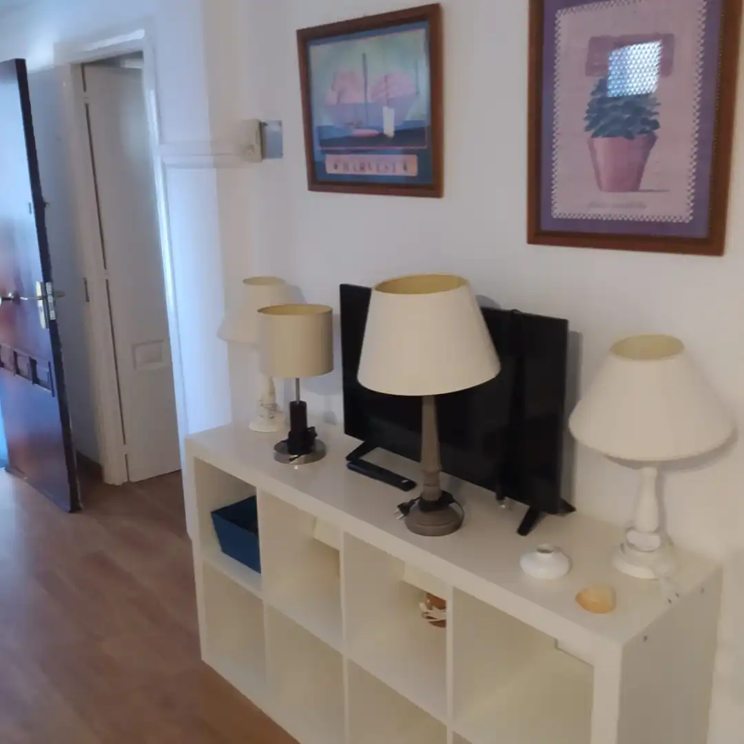 Sala de estar de Estudio de alquiler en Estepona con Amueblado