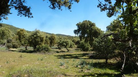 Finca de caza, immagine 4