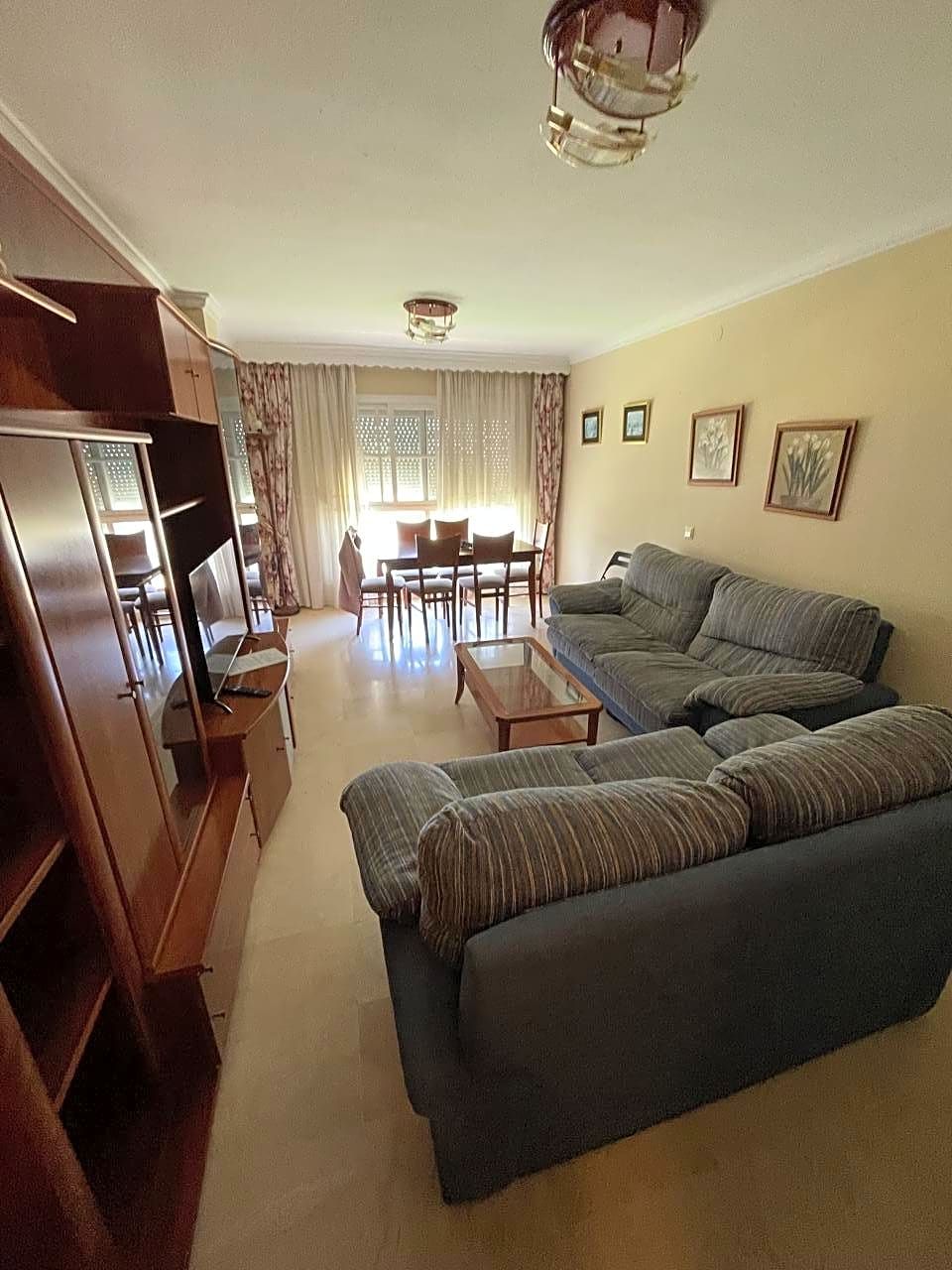 Living room of Flat to rent in Málaga Capital  with Furnished
