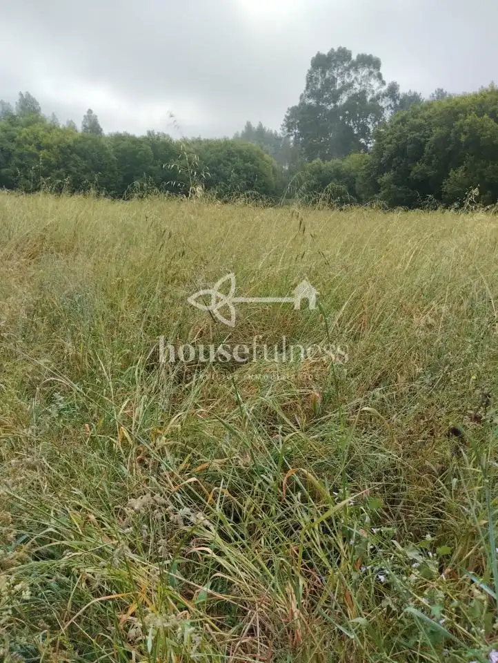 Rural land for sale in Bergondo, imagen 3