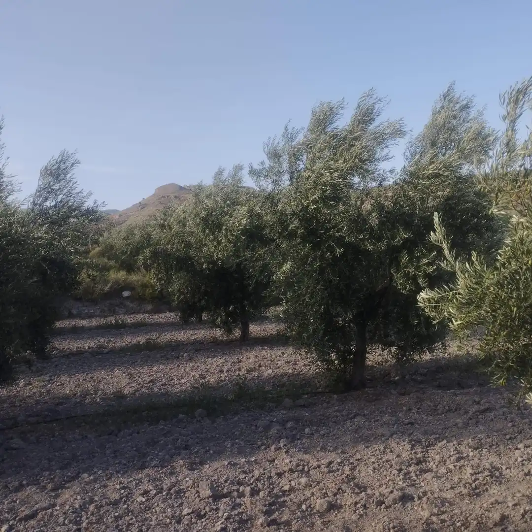 Country homes for sale in Lúcar  with Private garden and Storage room