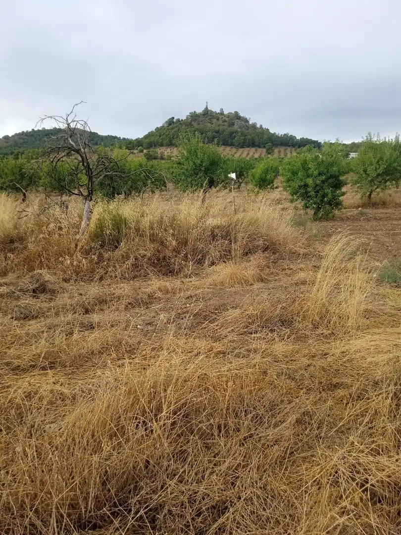 Residential land for sale in Pedanías Norte, imagen 2