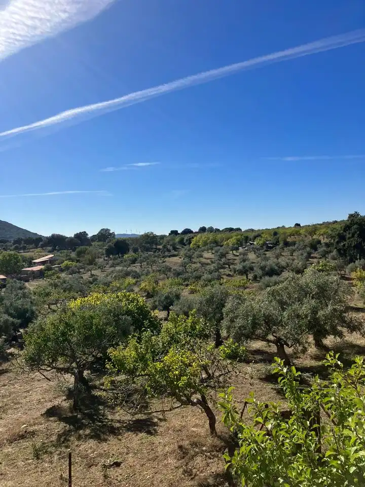 Casa o chalet en venta en Zona Norte - Hospital - Urbanizaciones