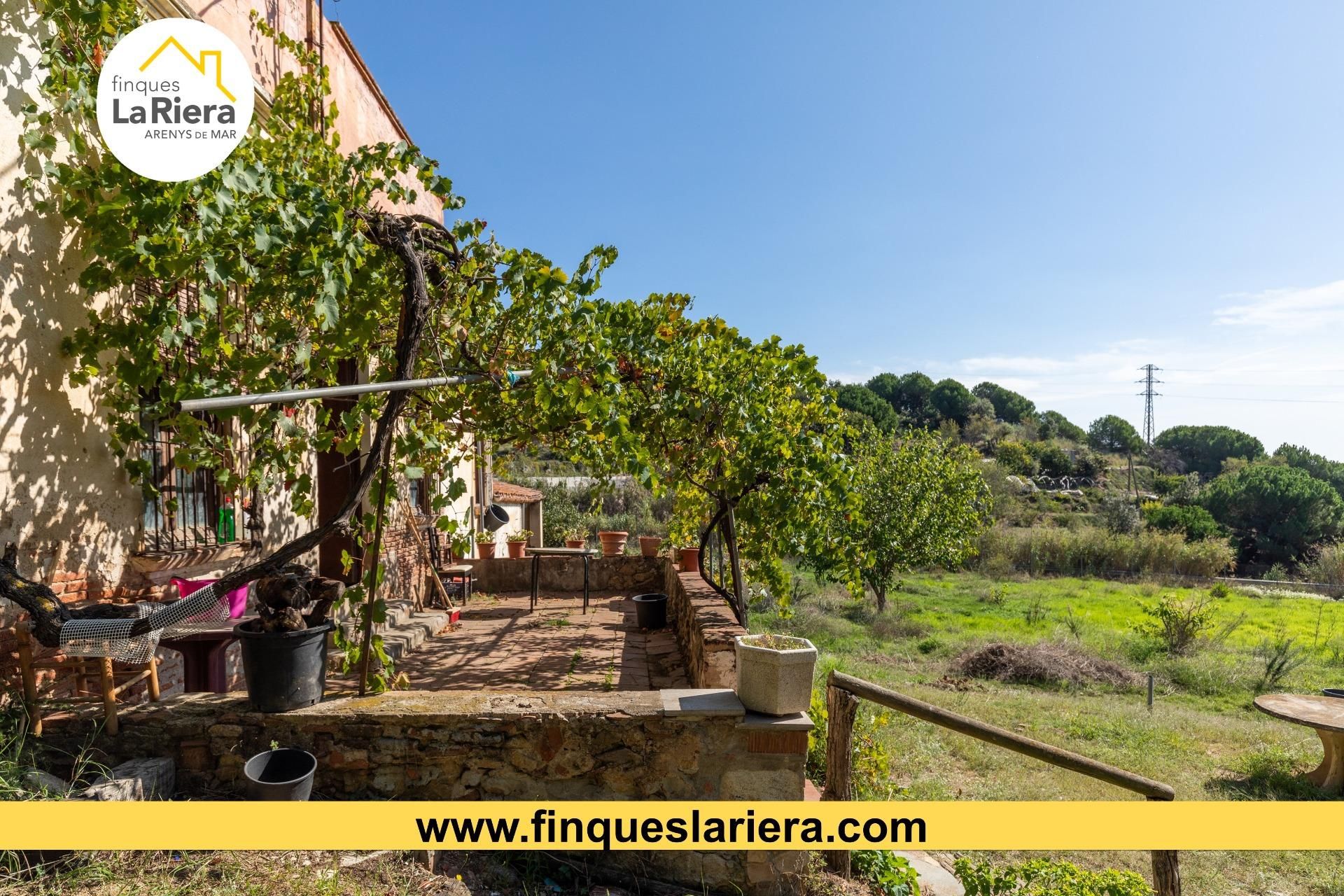Garden of House or chalet for sale in Arenys de Munt  with Terrace and Alarm