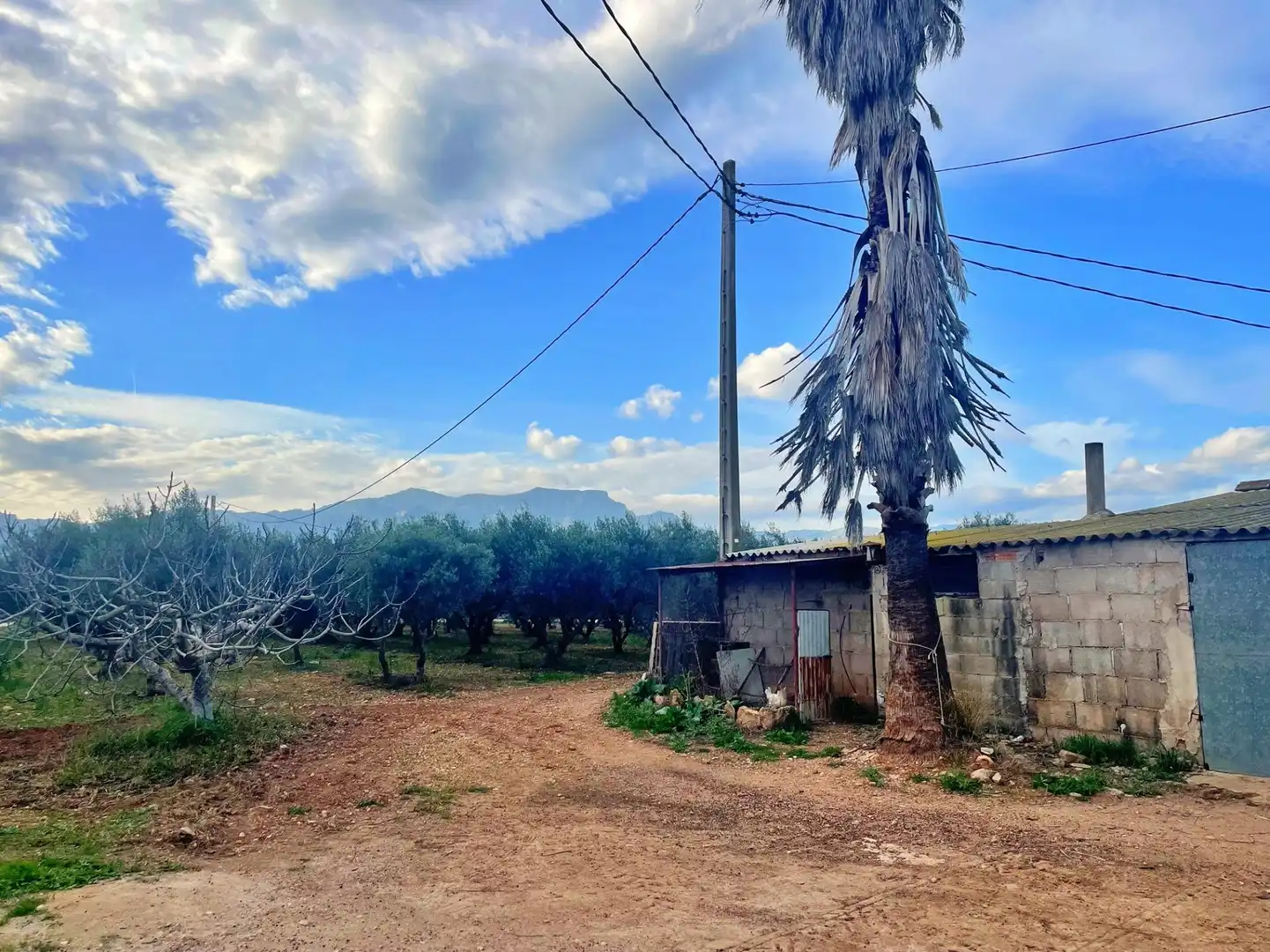 Casa o chalet en venta en Tortosa