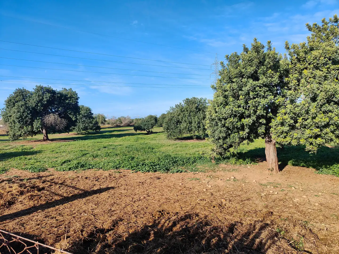 Terreno en venta en Llucmajor