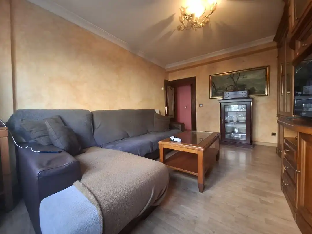 Sala d'estar de Pis en venda en Llano