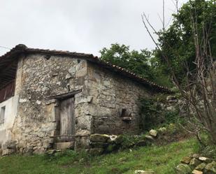 Exterior view of House or chalet for sale in Cangas de Onís