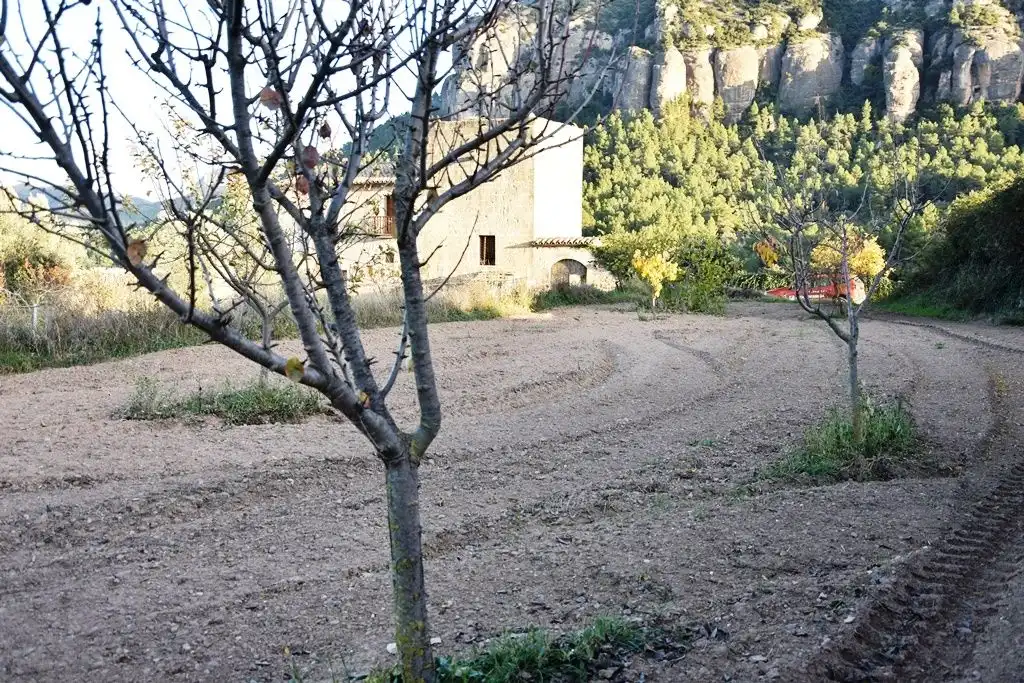 Rural land for sale in Horta de Sant Joan, imagen 2
