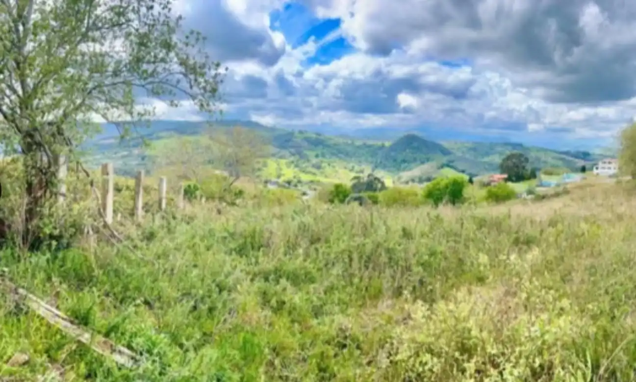 Terrenys i solars en venda a la arenosa