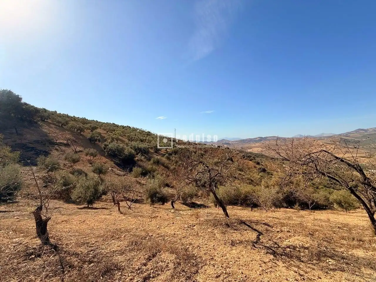 Residential land for sale in Diseminados