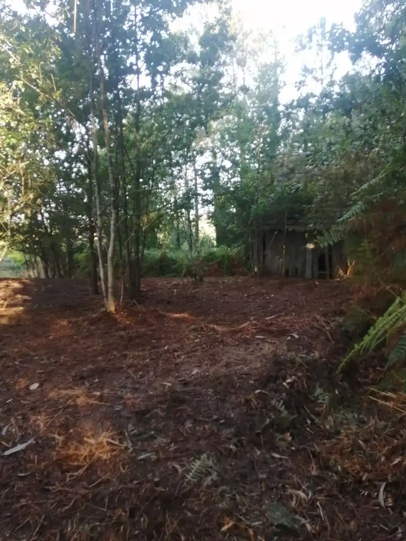 Finca rústica en venta en Ponteareas