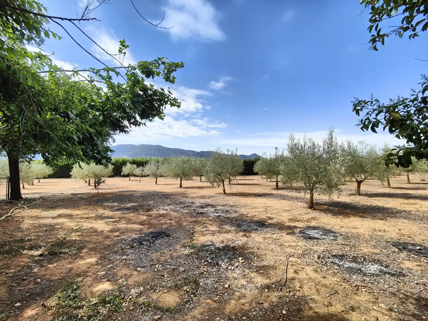 Villa mit Pool zum Verkauf in Calle marjal, imagen 24