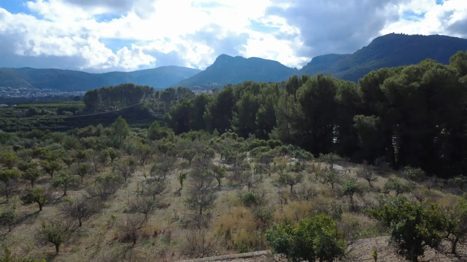 Terreny residencial en venda a Orba, imagen 5