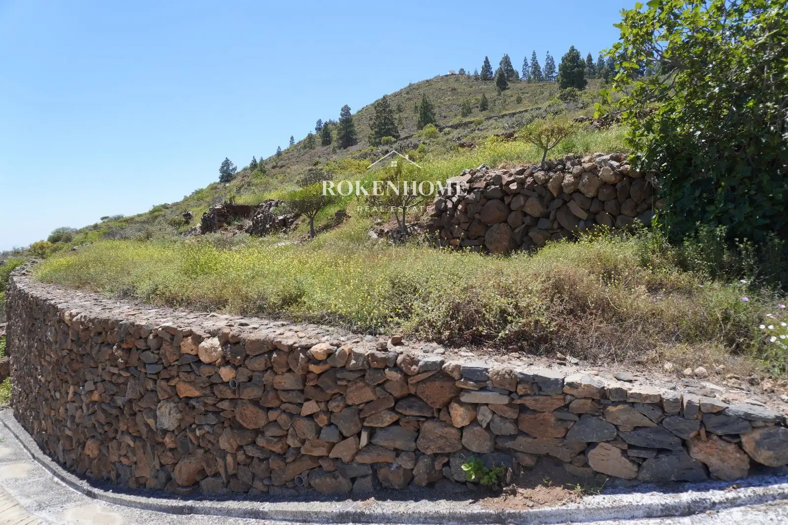 Terreno en venta en Guía de Isora