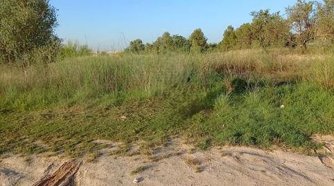 Foto 3 de Residencial en venta en 49, Parcela, 269 y 270, -1, Rascanya, La Pobla de Vallbona