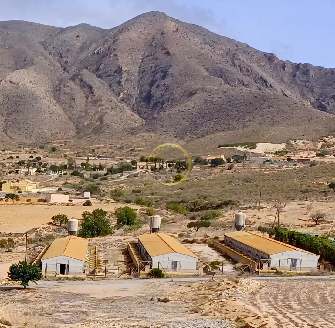 Casa rústica en venda a Pedanías Oeste, imagen 13