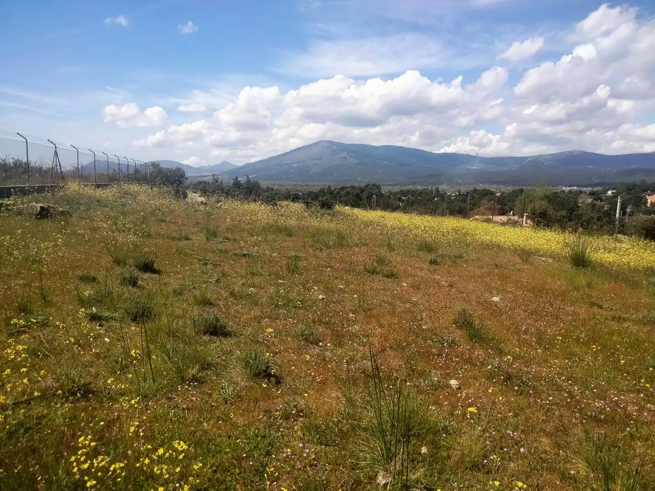 Grundstücke und Bauplätze zum Verkauf in Guadarrama, imagen 5
