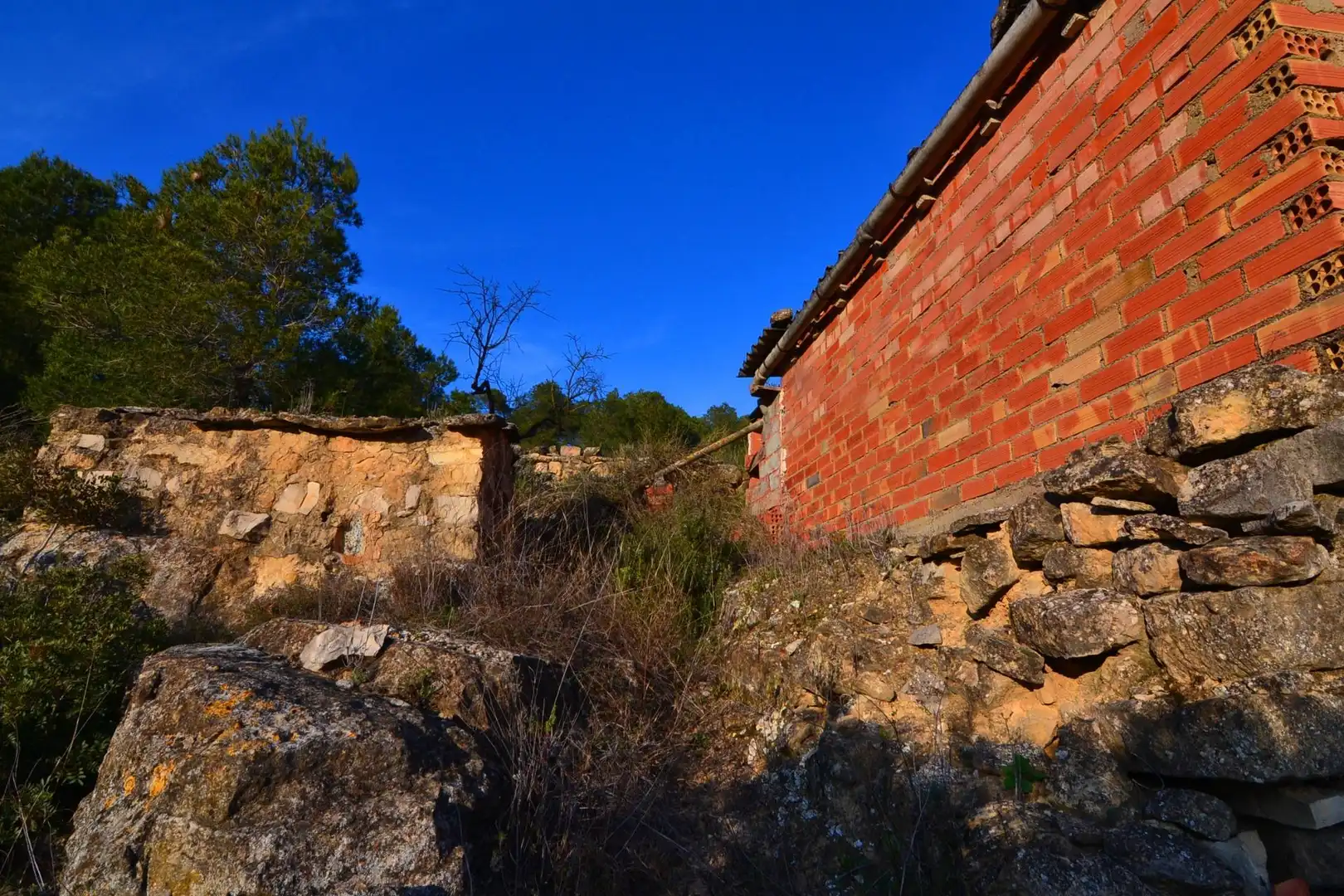 Rural land for sale in Corbera d'Ebre, imagen 18