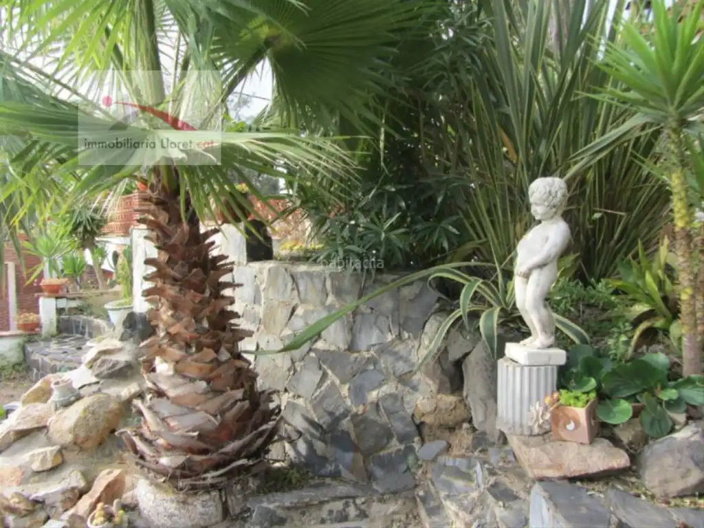 Maison avec piscine à vendre à Lloret Blau - La Creu de Lloret, imagen 15