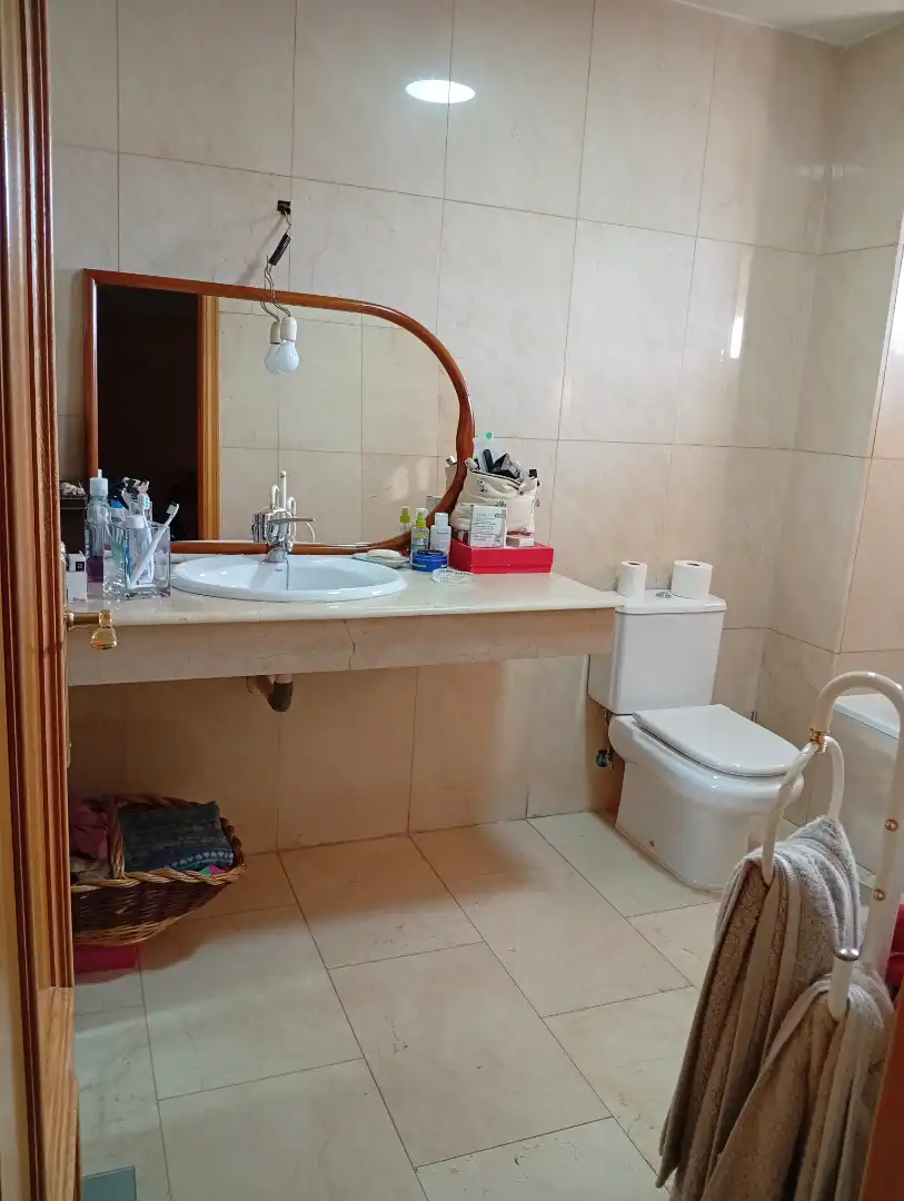 Casa a schiera con piscina in vendita a El Perchel, imagen 21