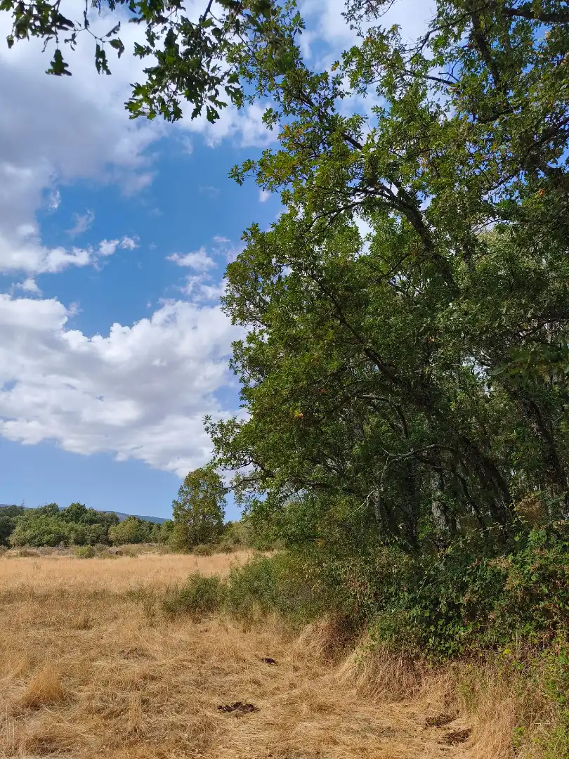 Terreno en venta en Piñuécar-Gandullas