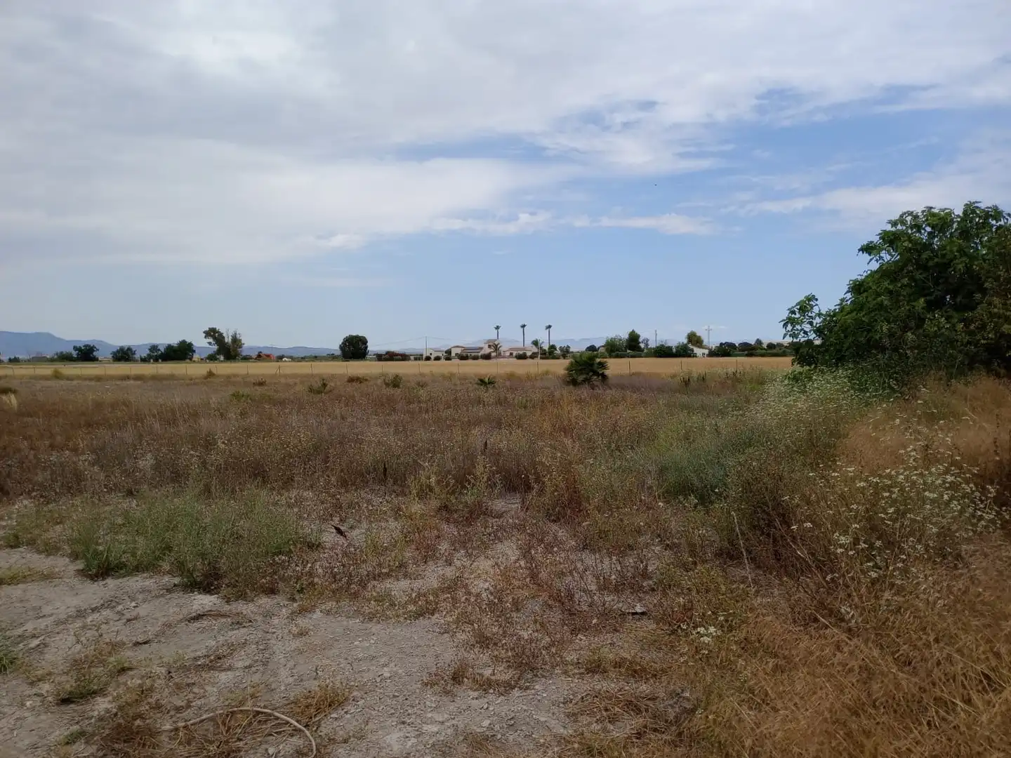 Terreno industrial en venta en Formentera del Segura