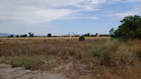Foto 5 de Terreny industrial en venda a Formentera del Segura, Alicante
