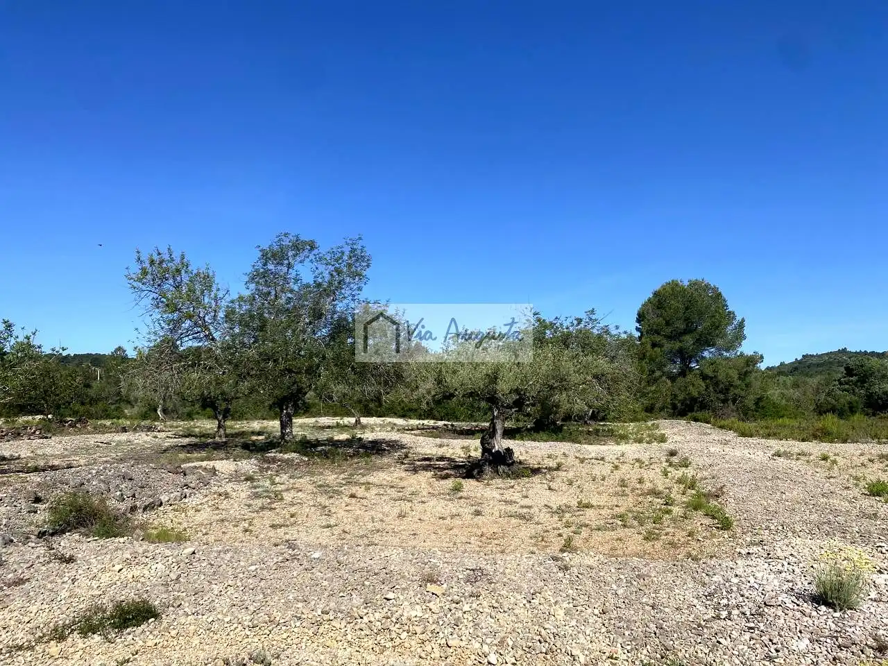 Terreno rustico in vendita a Rabasada, imagen 11
