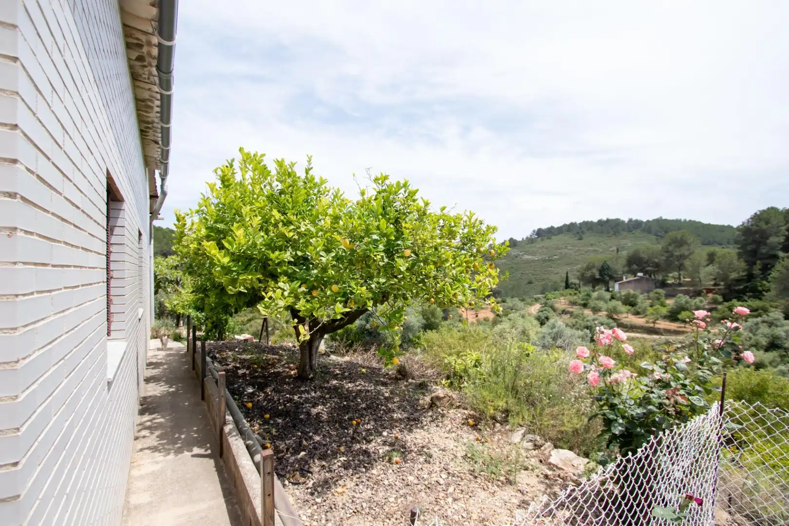 Jardí de Finca rústica en venda en Benlloc amb Jardí privat, Terrassa i Traster